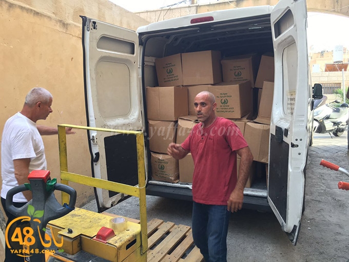 torold yaffa (7).jpg